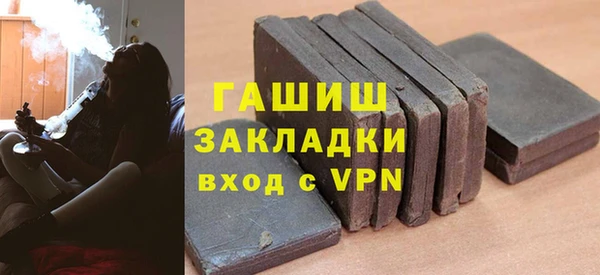 амф Гусев