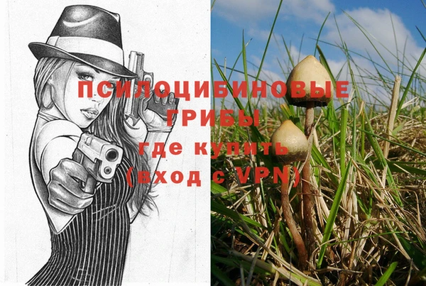 мескалин Алексин