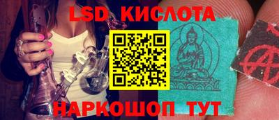 дмт Гусев